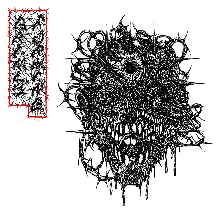 GRIMLY FORMING / ROLEX - SPLIT