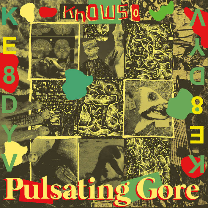 KNOWSO - PULSATING GORE