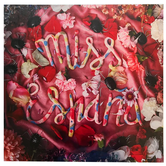 MISS ESPAÑA - NIEBLA MENTAL