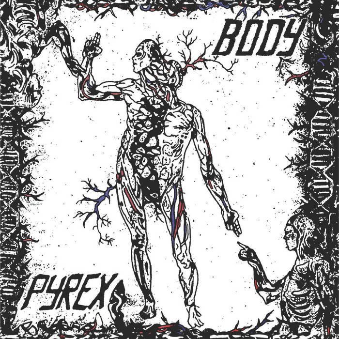 PYREX - BODY