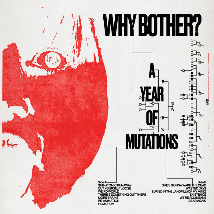 WHY BOTHER? - A YEAR OF MUTATIONS