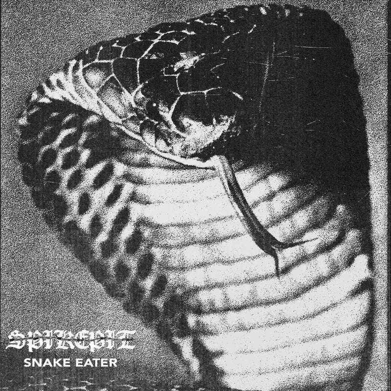 SPIKEPIT - SNAKE EATER COMPILATION LP